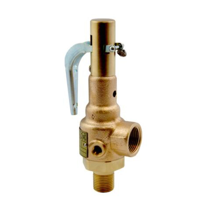 Mr. Steam Safety Valve 15 PSIG 1