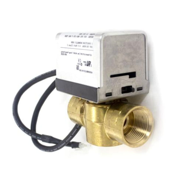 Mr. Steam Max Autoflush Assembly 1 Inch NPT