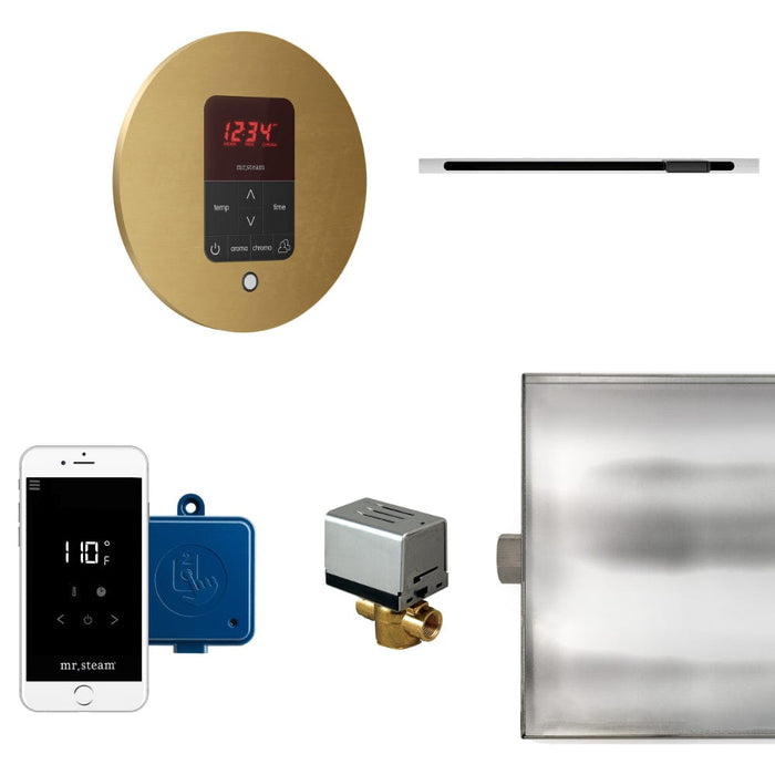 Mr. Steam Butler Linear Steam Shower Control Package