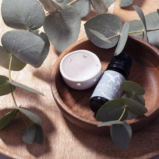 eucalyptus aroma oil top view