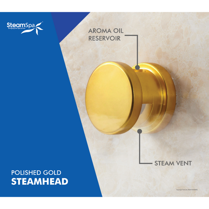 SteamSpa Black Series WiFi and Bluetooth 6kW QuickStart Steam Bath Generator Package with Dual Aroma Pump